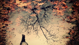 The Escheresque Photography of Sebastian Luczywo