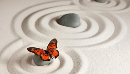 Une jolie parenthèse