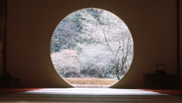 4 - Pourquoi les discussions pointues deviennent rares entre humains ?