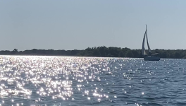 Catway 47 - Chaleur estivale sur le lac de la forêt d’Orient