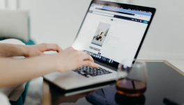 L’art des puces dans le blogging