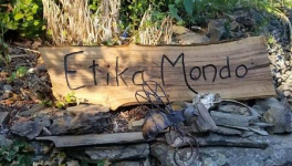 Il était une fois dans la vallée du Vigan