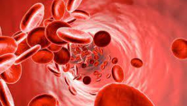 ROUGE EST LE SANG DES HOMMES