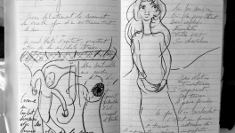 Petits Papiers Volants : Journal D'écriture 2003-2018 - Mardi 9 janvier 2018