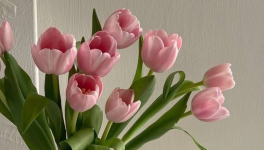 𝘠𝘰𝘶 𝘱𝘳𝘰𝘣𝘢𝘣𝘭𝘺 𝘯𝘦𝘦𝘥 𝘵𝘰 𝘩𝘦𝘢𝘳 𝘵𝘩𝘢𝘵.