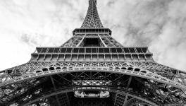 Panodyssey: A 21st Century Culture Salon