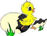 Générations futures 