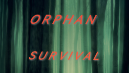 Chapitre 11 - Exploration (1)