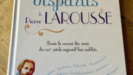 Le jeu des mots disparus