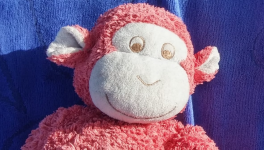 Les aventures de moi:)