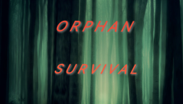 Chapitre 1 - L'après-guerre