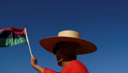 TRUMP DEFENDANT, SUPREMATISM and FELONY, Monkeism and Shame ... (the End of a White World for White People)