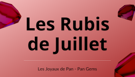 🗞 Les joyaux de Pan : les Rubis de Juillet (2021) ♦️
