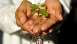 Et PIFF ! L'entraide.