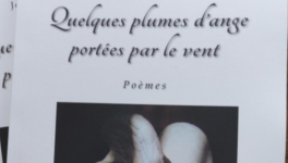 "Quelques plumes d'ange portées par le vent"