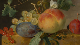 Nature morte