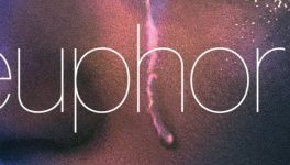 Euphoria - Saison 1