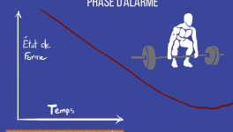 Les 3 phases du stress