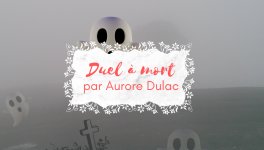 Exercice d'écriture - Duel à mort