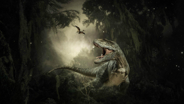 Pas les bienvenus...