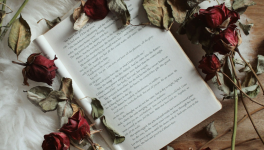 Je suis venu trop tard