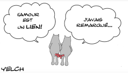 LE LIEN DE L'AMOUR