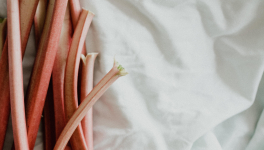 Gâteau ultra léger à la rhubarbe (Sharlotka)