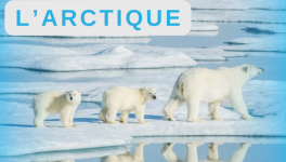 ❄️#Linktober2025.L’Arctique