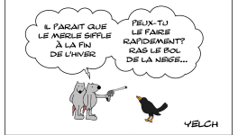 I shot the blackbird