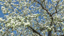 Quand on est dans les bras...