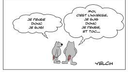 je pense donc je suis et si c'était l'inverse?