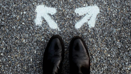 4 Leçons Du Coronavirus Pour Préparer La Crise Environnementale (Part. 2/4)