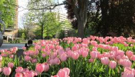 𝘕𝘦𝘷𝘦𝘳 𝘍𝘰𝘳𝘨𝘦𝘵 𝘛𝘩𝘢𝘵.