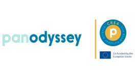 Digital Services Act : Emmanuel Macron et la solution Panodyssey 🇪🇺 🇫🇷