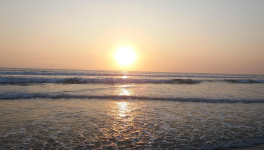 Tu me fais penser...