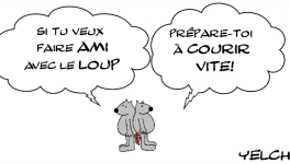 SI TU VEUX FAIRE AMI AVEC LE LOUP