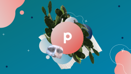 Press Release - December 2020 