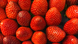 Verrines printanières fraises spéculoos comme un tiramisu