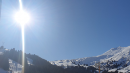 Désillusions passagères