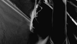 Monsieur Gräfenberg vous avez tué l’amour