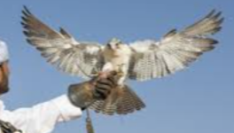 The Spirit of your Mind