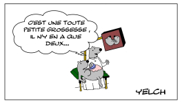 Le rat qui faisait une échographie