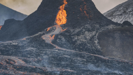 Meurtre, suicide, folie .