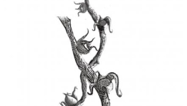 Francesca Innocenzi, Formulario per la presenza. Un invito alla lettura