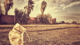 Les fleurs d'inhumanité