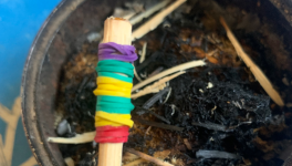 Rien est vrai tout est permis