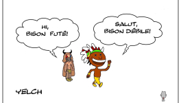 Bison débile