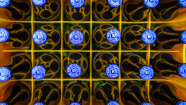 Un gros nez pour une grosse amitié