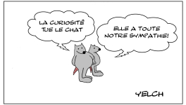 Le rat qui appréciait la curiosité