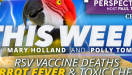 Change, Change, Change(we don't need parrots)